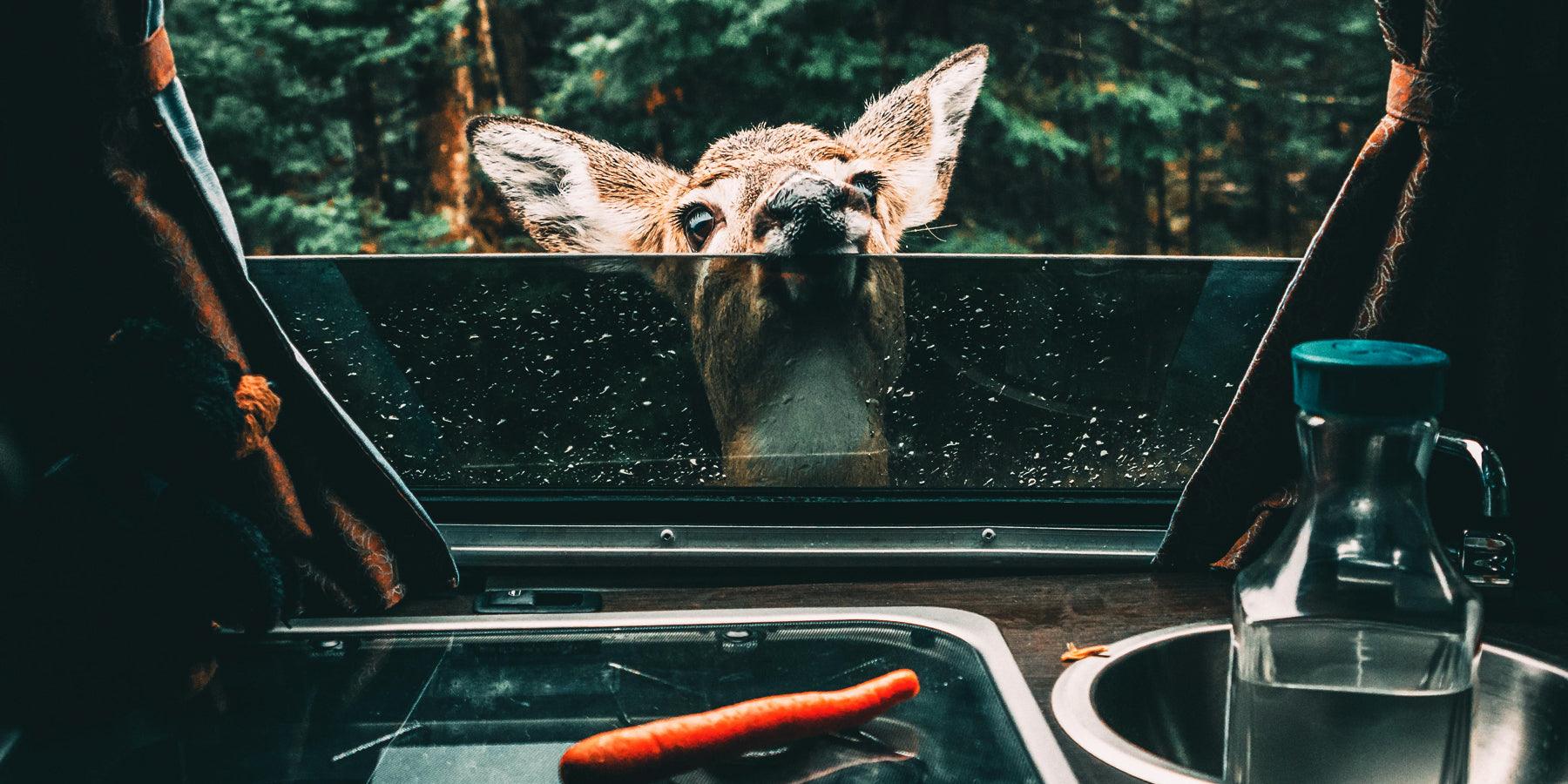 Blij met de caravan op vakantie doe je zo - Happlify