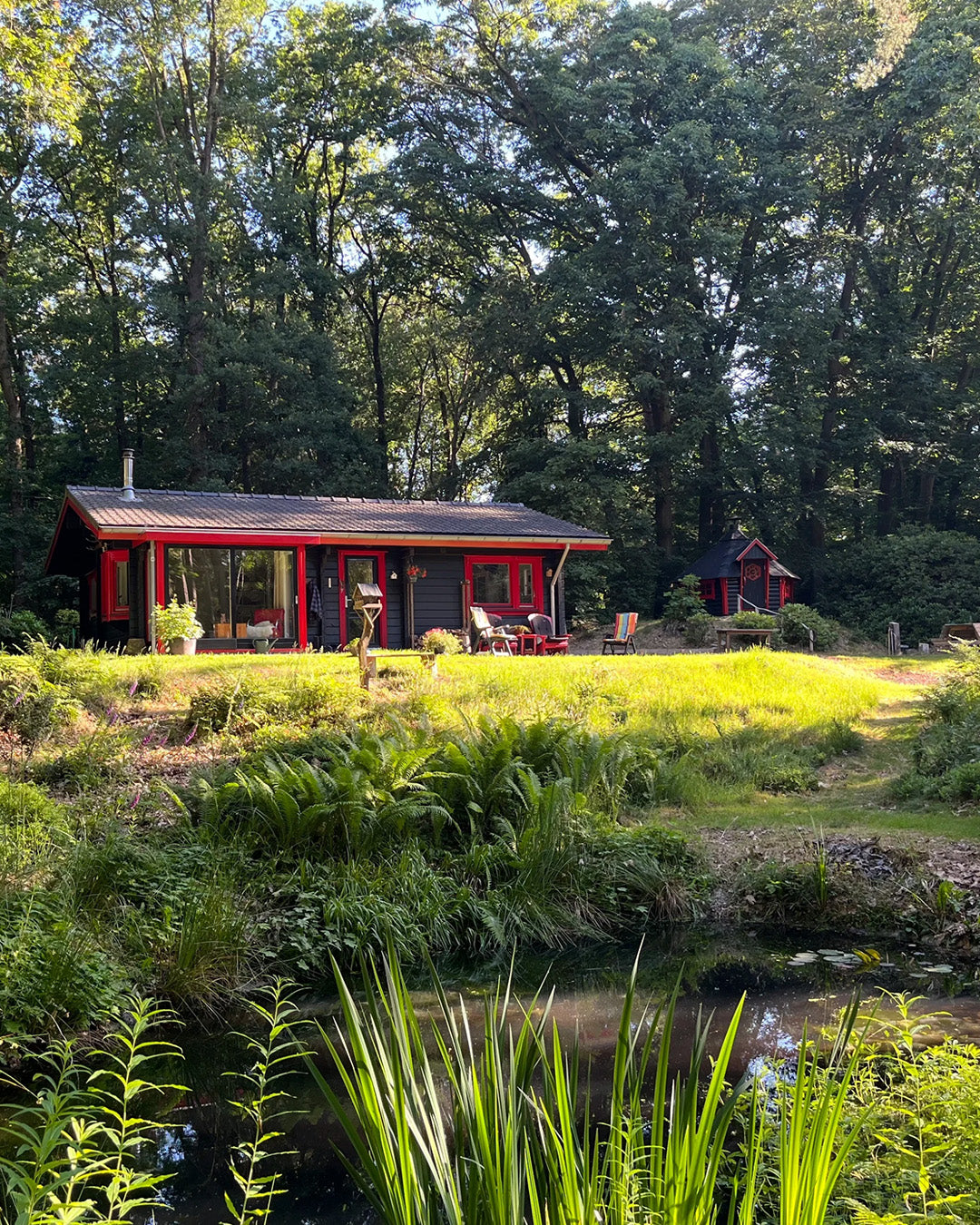 Nature house in Hulshorst