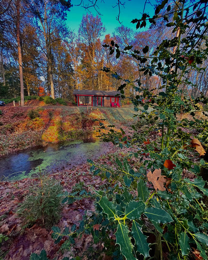 Nature house in Hulshorst