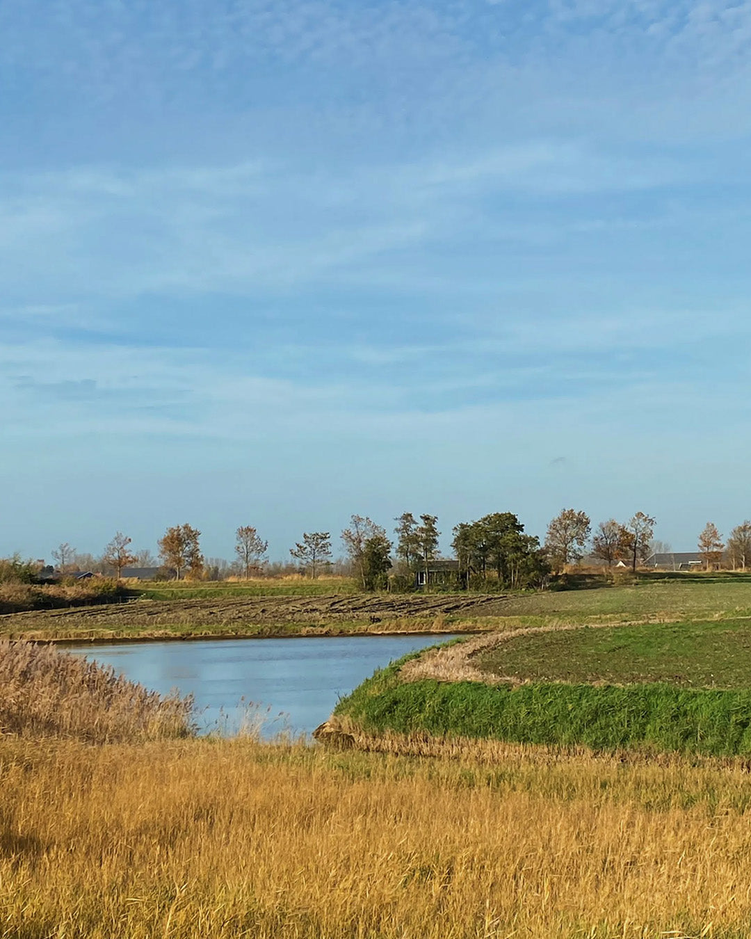 Nature house in Oudelande