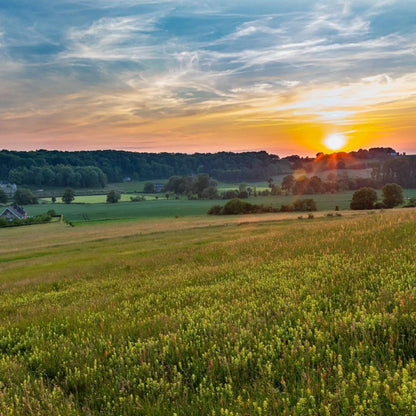 Landgoed Schinvelderhoeve in Zuid-Limburg - Happlify