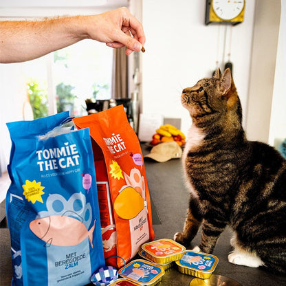 Tommie the Cat | Happlify feel good webshop gids en blog